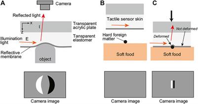 Detection of <mark class="highlighted">Foreign Bodies</mark> in Soft Foods Employing Tactile Image Sensor